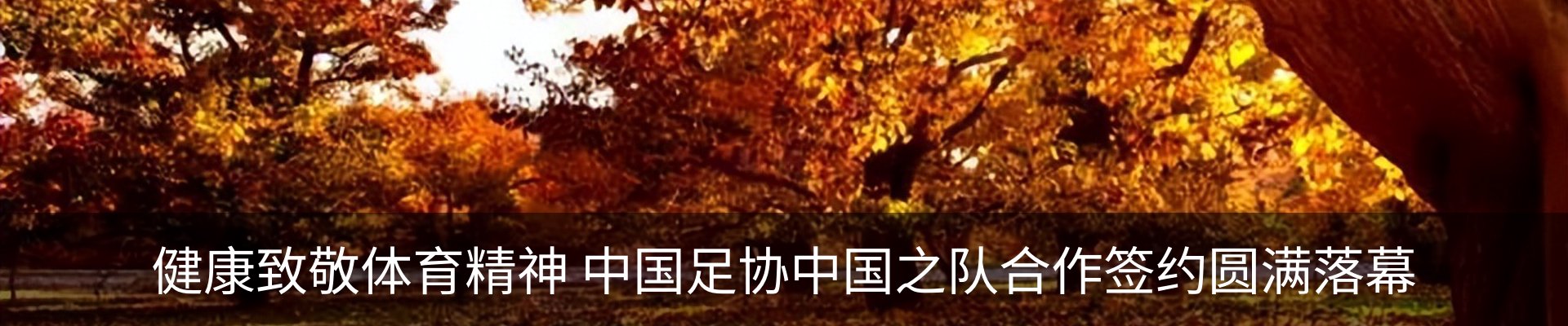 内页banner